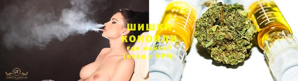 ГАЛЛЮЦИНОГЕННЫЕ ГРИБЫ Липки