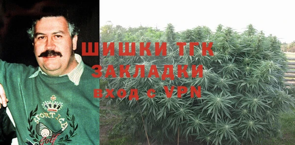 ГАЛЛЮЦИНОГЕННЫЕ ГРИБЫ Липки