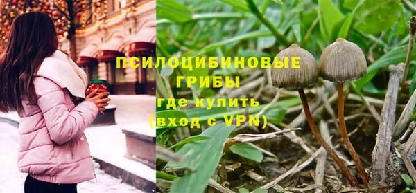 гидра Ладушкин
