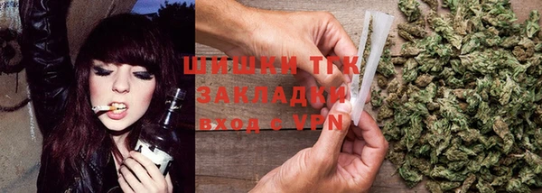 крисы Лабытнанги