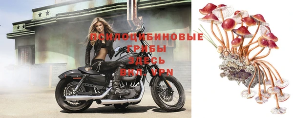 крисы Лабытнанги