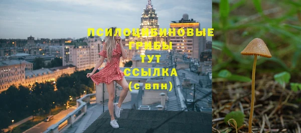 ГАЛЛЮЦИНОГЕННЫЕ ГРИБЫ Липки