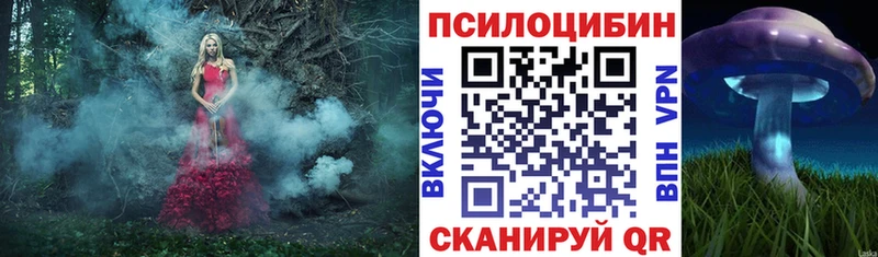 Псилоцибиновые грибы мицелий купить Уржум